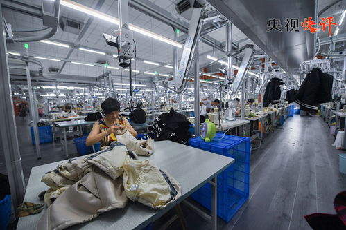 高质量发展中的通信技术研发与共同富裕促进